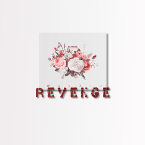 HYPE VIBE - Revenge (Acoustic Version)