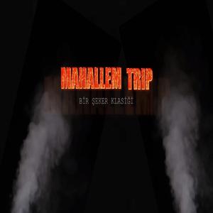 Mahallem Trip (Fast Motion) [Explicit]