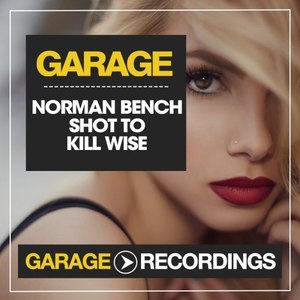 Shot to Kill Wise (Original Mix)