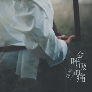 会呼吸的痛