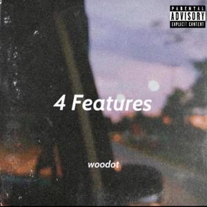 4 Features (Explicit)