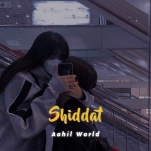 Shiddat (Slowed and Reverb)