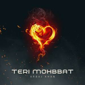 Teri Mohbbat