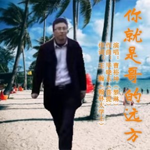 你就是哥的远方