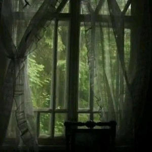 bury me in disbelief