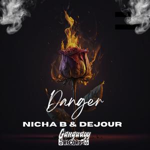 Danger (feat. Nicha B & DEJOUR)