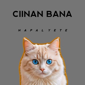 CIINAN BANA (1) [Explicit]