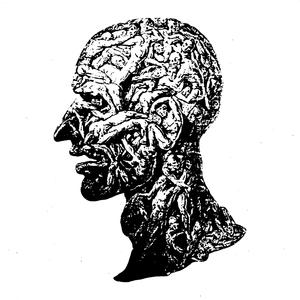 The young myo special (Explicit)