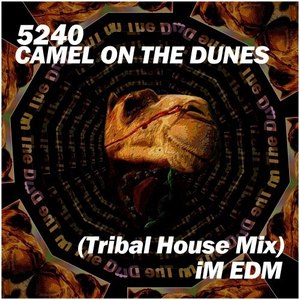 Camel on the Dunes (Tribal House Mix)