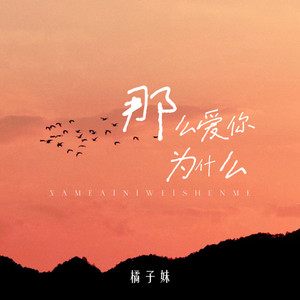 那么爱你为什么