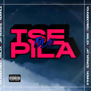 Tse pila fela (feat. Sduminator, Malza, Jay Monate & Nomhle)