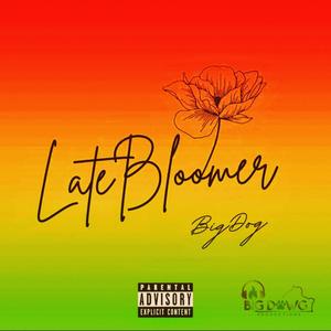 Late Bloomer (Explicit)