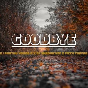 Goodbye (feat. fizzytoofab & Shadoh Vee) [Explicit]