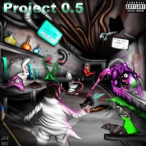 Project 0.5 (Explicit)