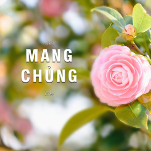 Mang Chủng (Lofi)
