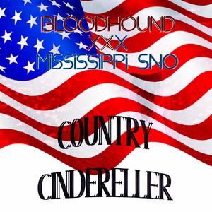 Country Cindereller (feat. Ryan Woodcock) (Explicit)
