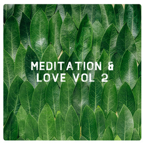 Meditation & Love, Vol. 2