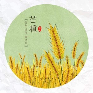 芒种（cover赵方婧）