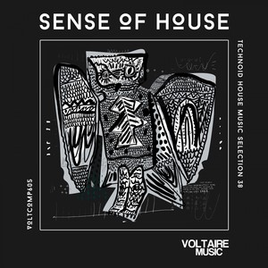 Sense of House, Vol. 38 (Technoid House Music Selection 38)