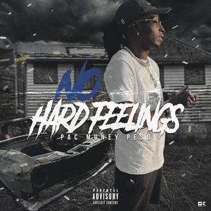 No Hard Feelings (Explicit)