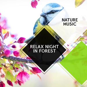 Relax Night in Forest - Nature Music