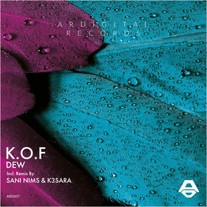 Dew (SANI NIMS & K3SARA Remix)