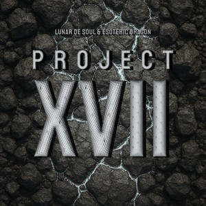 Project XVII