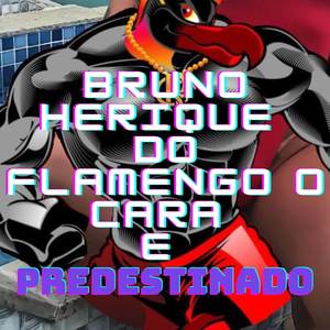 BRUNO HENRIQUE DO FLAMENGO E O CARA PREDESTINADO (Explicit)