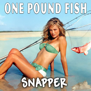 One Pound Fish - Single