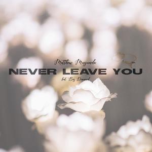 NEVER LEAVE YOU (feat. Big Diamond)