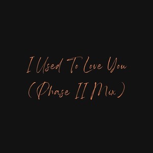 I Used To Love You (Phase II Mix)