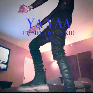 Ya Yaa (feat. Melatonin & Vevi.eu) [Explicit]