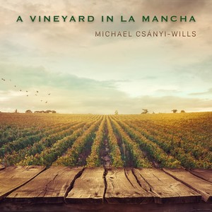 A Vineyard in La Mancha