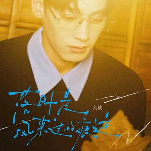 刘骏 - 落叶是风来过的痕迹