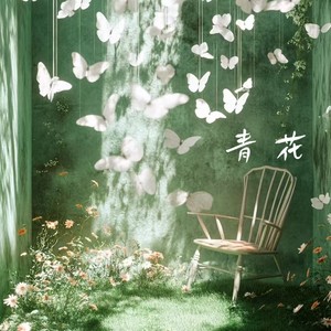 青花-你星