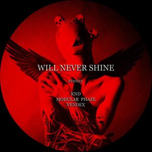 Will Never Shine (Original Mix)