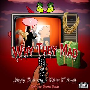 Why They Mad (feat. Raw Flava) [Explicit]