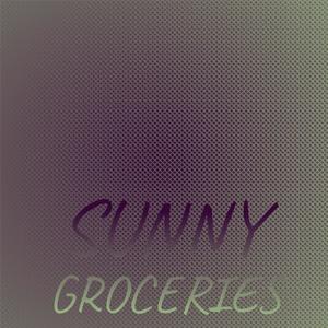 Comprehensible Mister