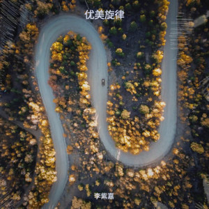 茶花，开了升调伴奏-李紫嘉