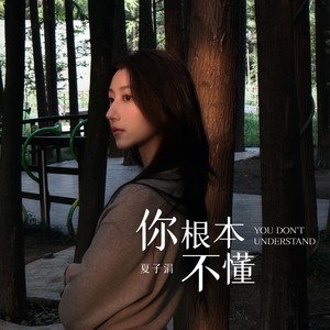 你根本不懂 (DJ九零版伴奏)