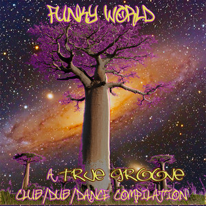 Funky World: A True Groove Club / Dub / Dance Compilation