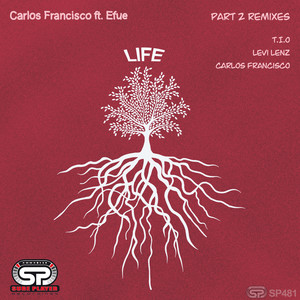 Life Part 2 Remixes (Levi Lenz Remix)