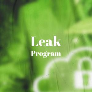 Leak Program