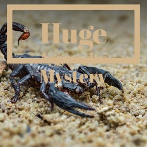 Forgotten Robot's Song