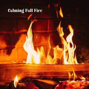 Calming Fall Fire