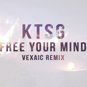 Free Your Mind (混音|Vexaic Remix)