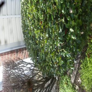 Couldnt  Come up with a Name(Just Wanted to Spit Freestyle Pt 2) (Explicit)