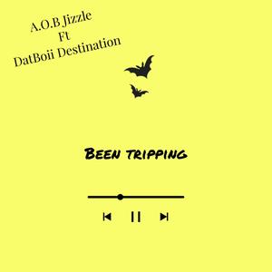 Been Tripping (feat. DatBoii Destination) [Explicit]