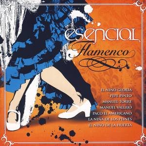 Esencial Flamenco Vol.11