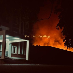 The Last Goodbye